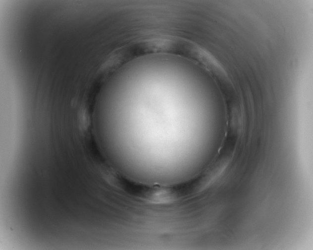 X0000099970173200805231412