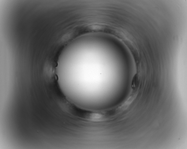 X0000099970176200805231412