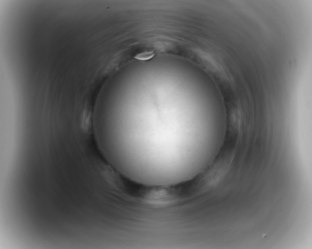 X0000099970177200805231412