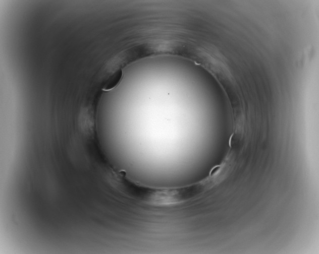 X0000099970179200805231412