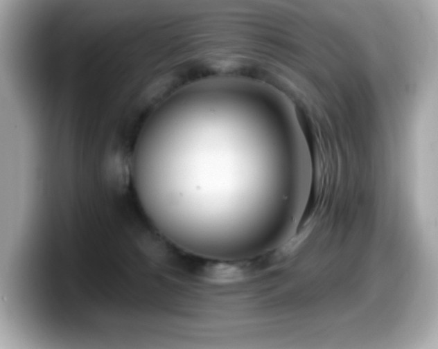 X0000099970180200805231412