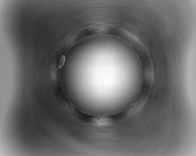 X0000099970181200805231412