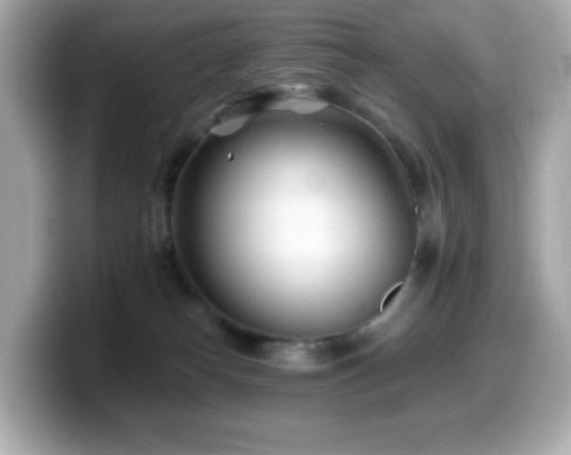 X0000099970182200805231412