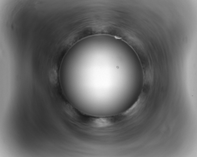 X0000099970183200805231412