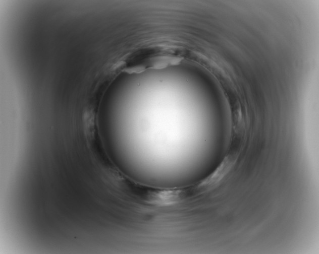 X0000099970184200805231412