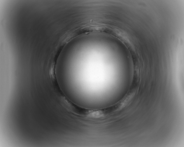 X0000099970185200805231412