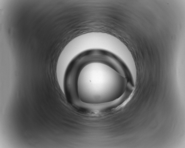 X0000099970186200805231412