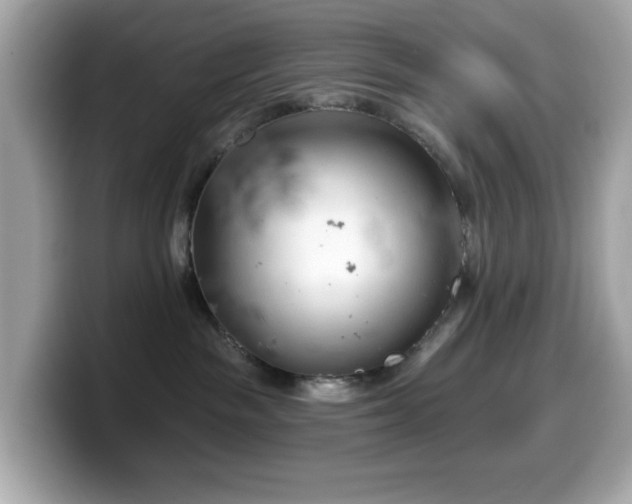 X0000099970189200805231412