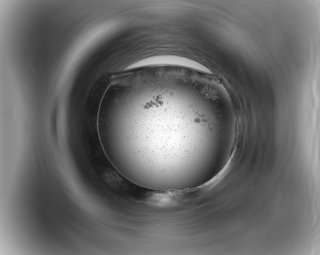 X0000099970190200805231412