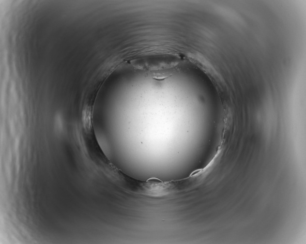 X0000099970191200805231412