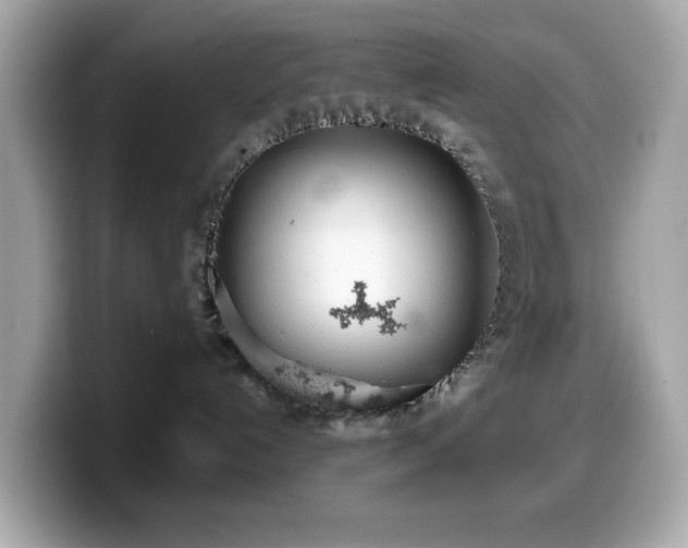 X0000099970192200805231412