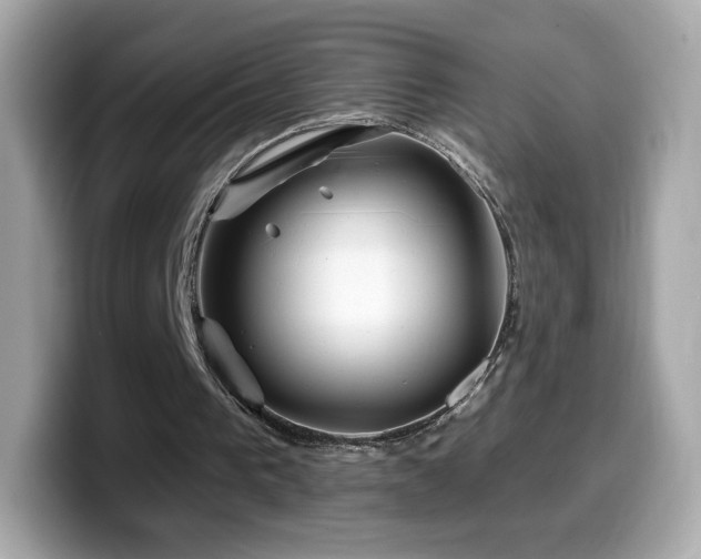 X0000099970193200805231412