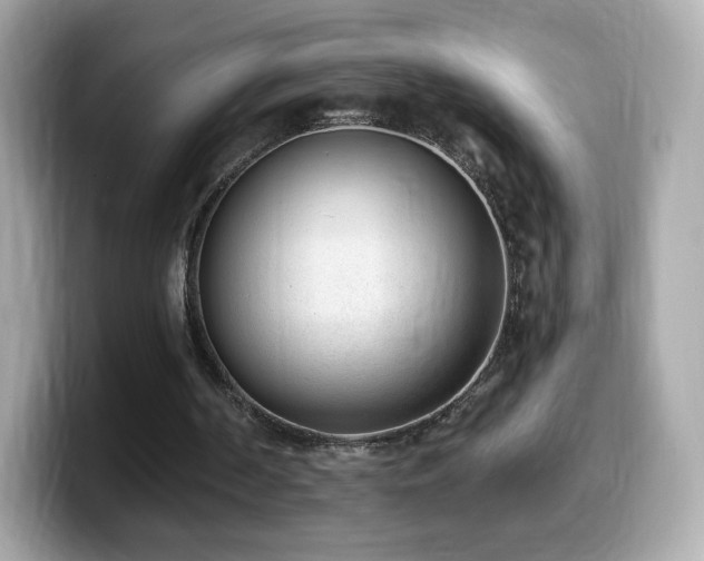 X0000099970194200805231412