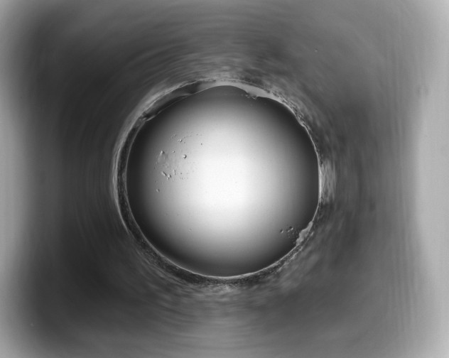 X0000099970195200805231412