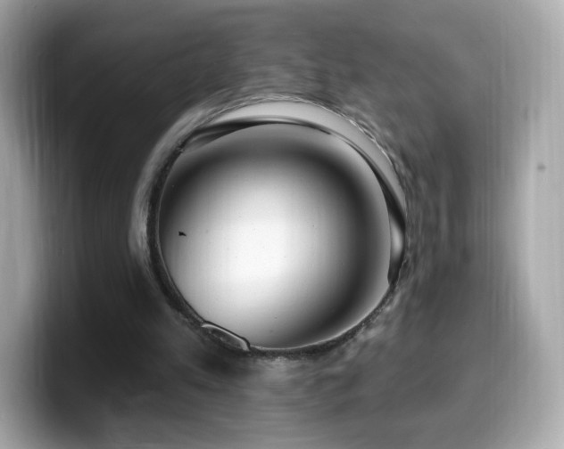 X0000099970197200805231412