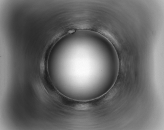 X0000099970202200805231411
