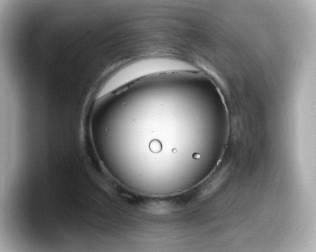X0000099970203200805231411