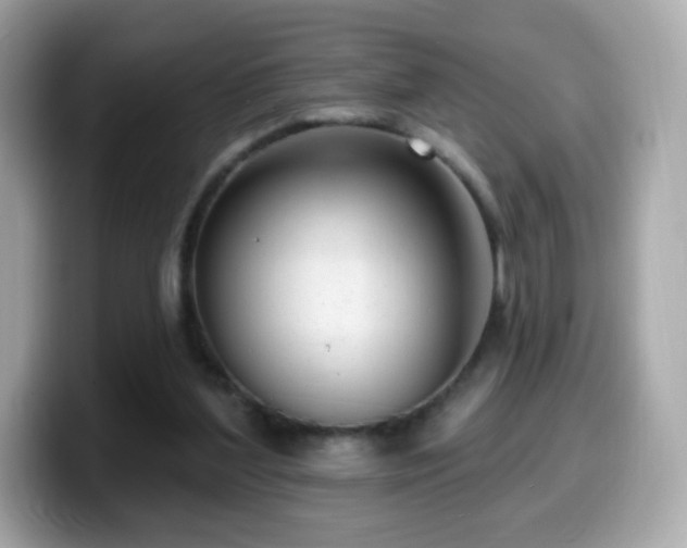 X0000099970204200805231411