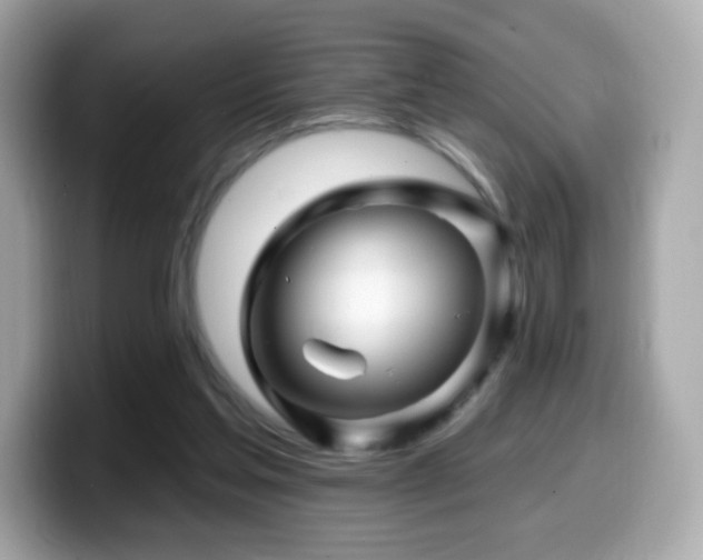 X0000099970205200805231411