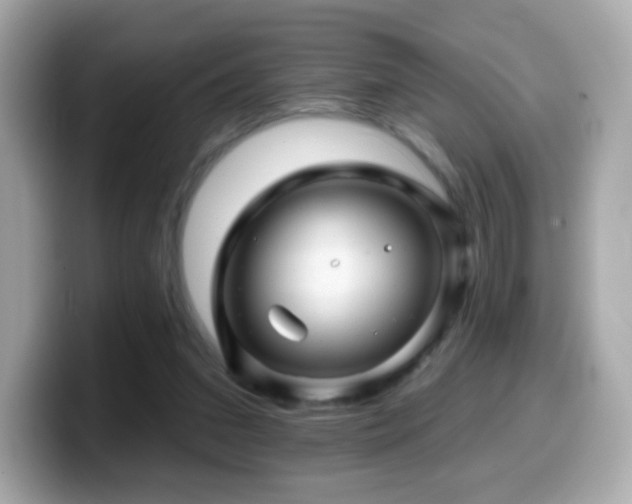 X0000099970207200805231411