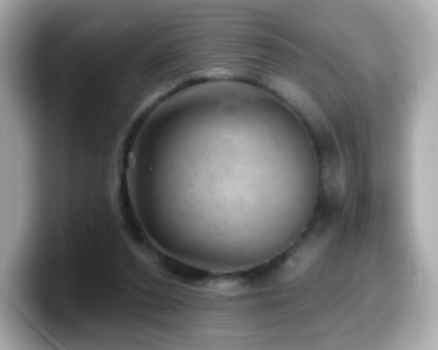 X0000099970208200805231411