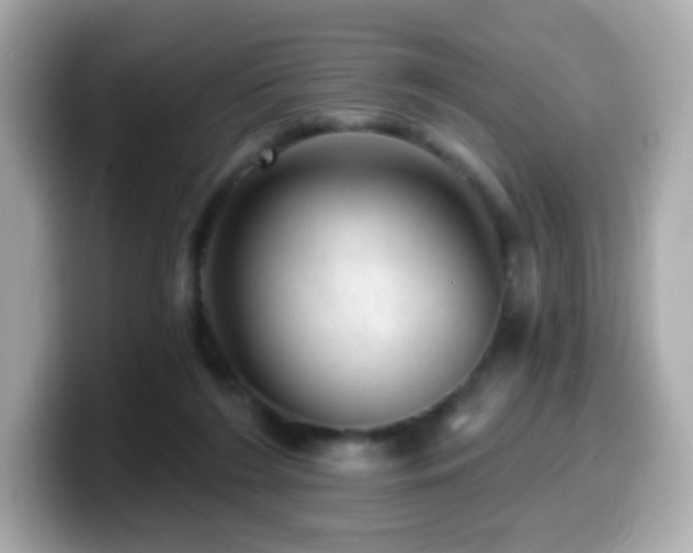 X0000099970212200805231411