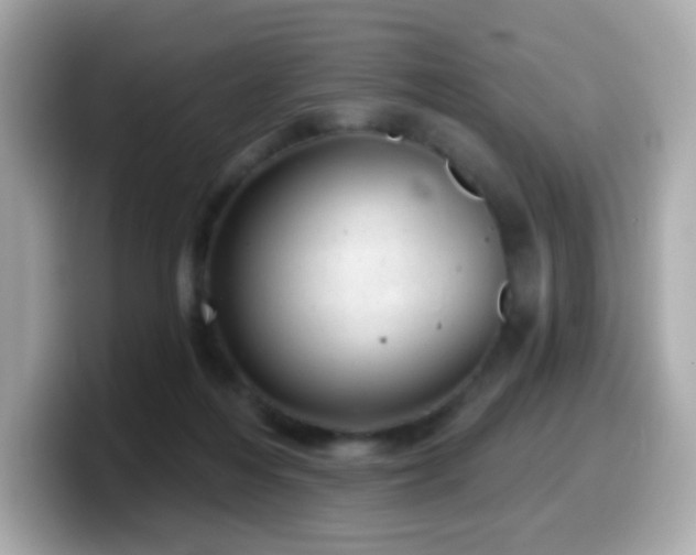 X0000099970216200805231411