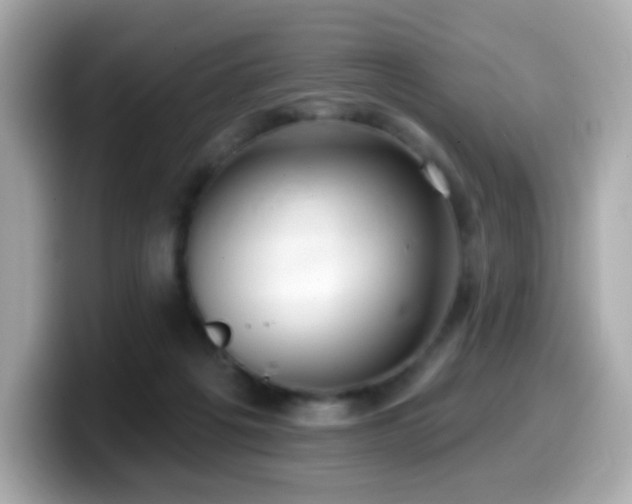 X0000099970217200805231411