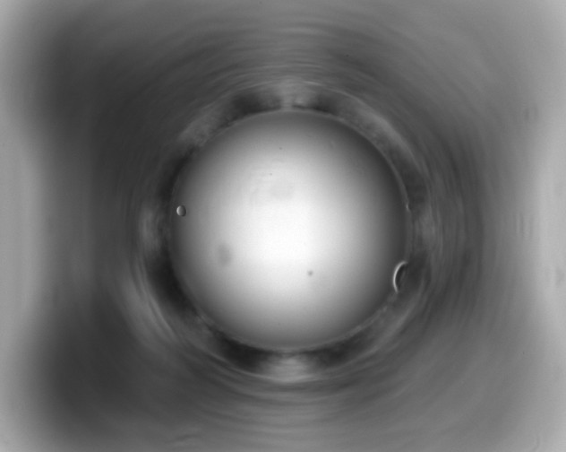 X0000099970218200805231411