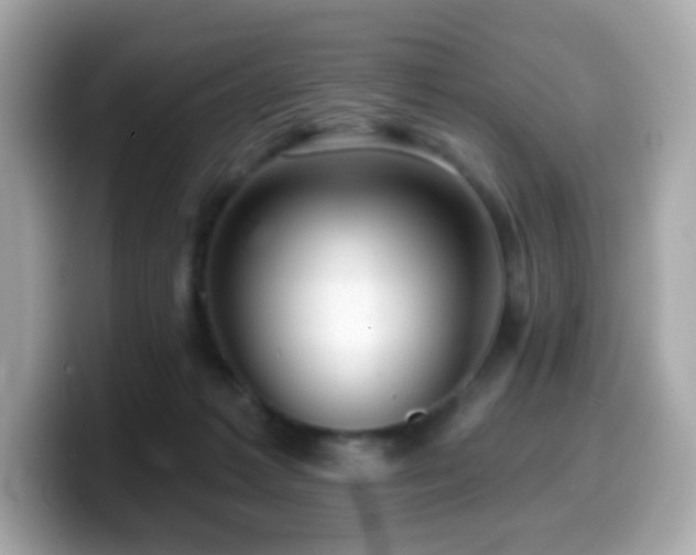 X0000099970221200805231411