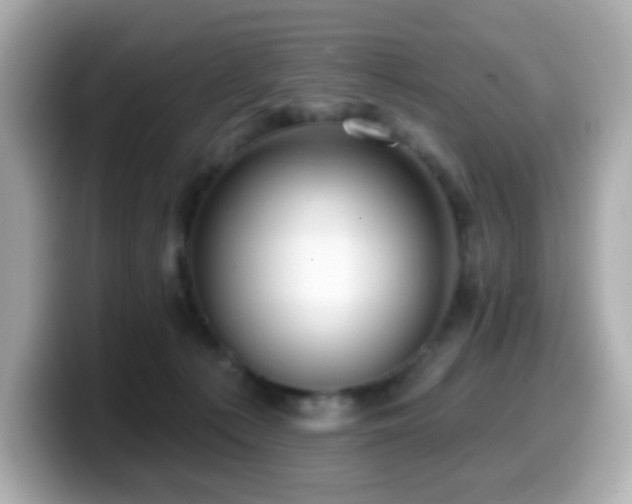 X0000099970225200805231411