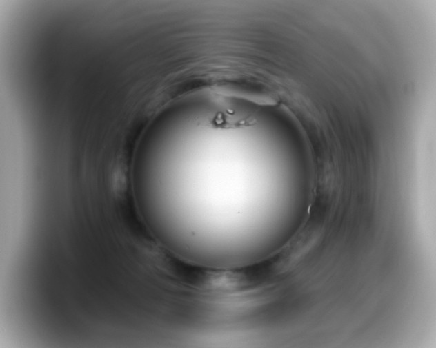 X0000099970226200805231411