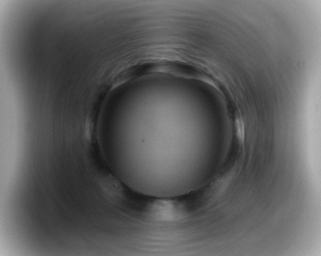 X0000099970227200805231411