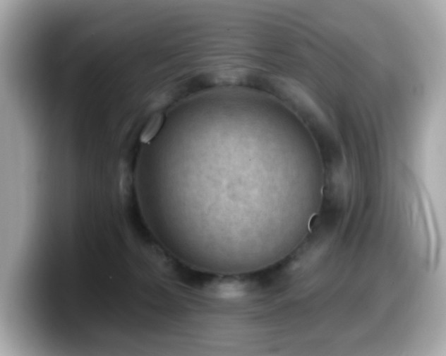 X0000099970228200805231411