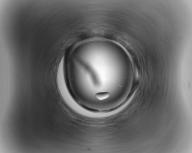 X0000099970231200805231411