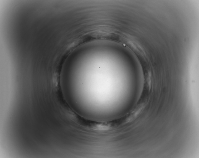 X0000099970232200805231411