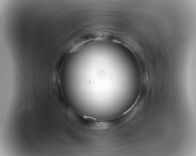 X0000099970233200805231411