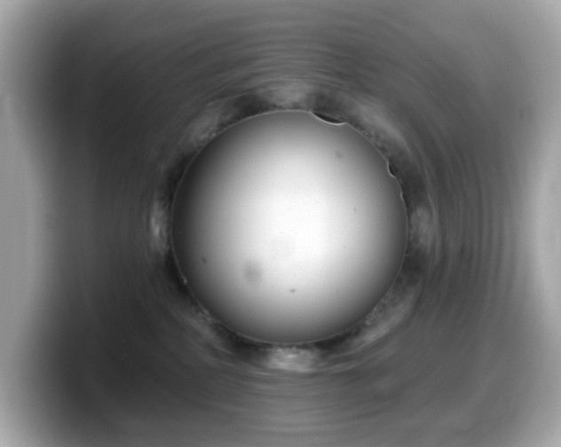 X0000099970234200805231411