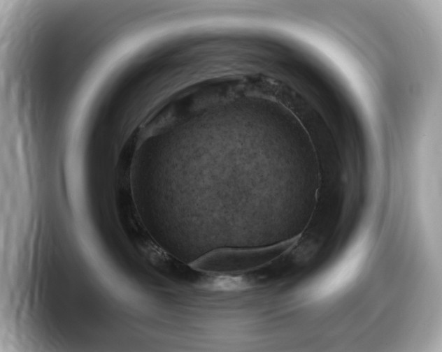 X0000099970239200805231411