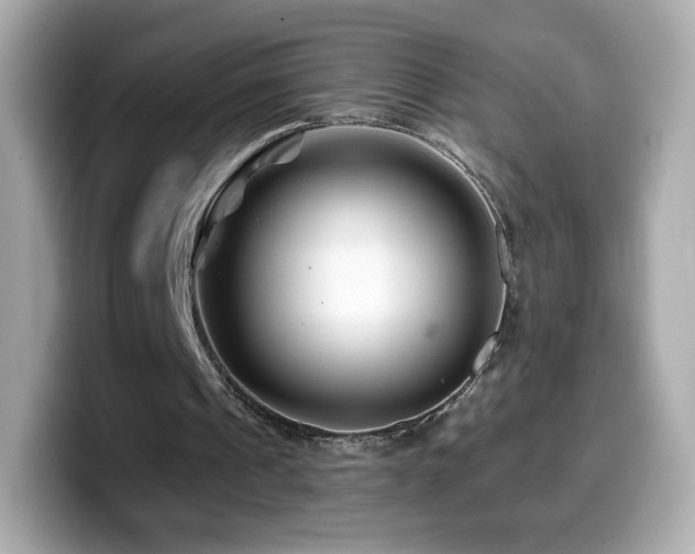 X0000099970241200805231410