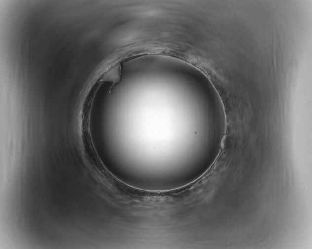 X0000099970242200805231410