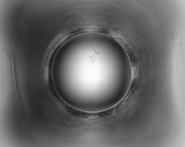 X0000099970243200805231410
