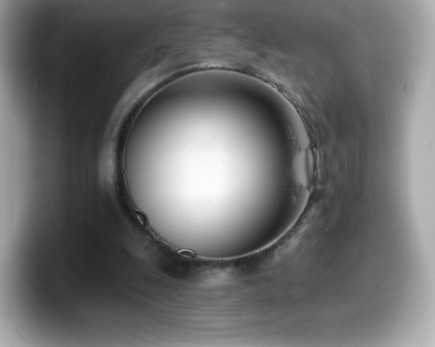 X0000099970247200805231410