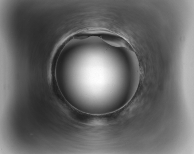 X0000099970248200805231410