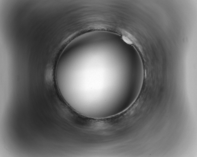 X0000099970249200805231410