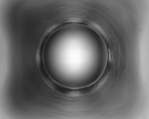 X0000099970252200805231410