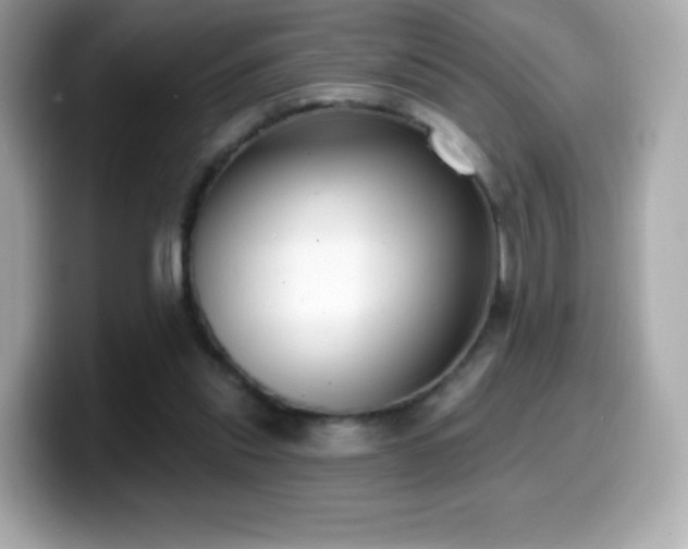 X0000099970253200805231410