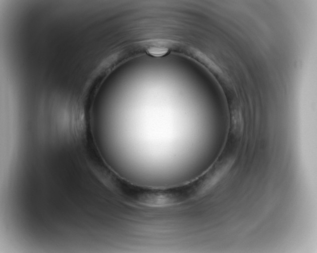 X0000099970254200805231410