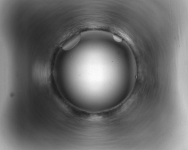 X0000099970257200805231411