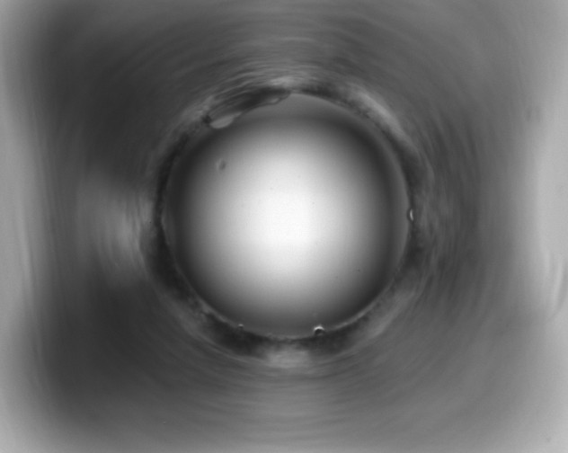 X0000099970258200805231411